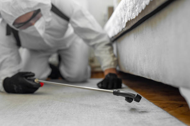 Professional Bed Bug Control technician working in Painted Post, NY